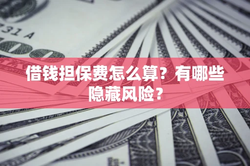 武汉借钱担保费怎么算？有哪些隐藏风险？