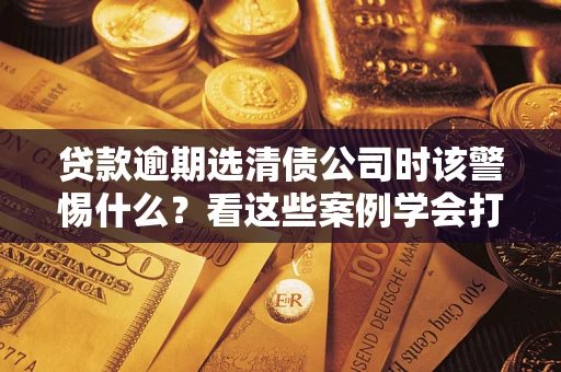 武汉贷款逾期选清债公司时该警惕什么？看这些案例学会打翻身仗