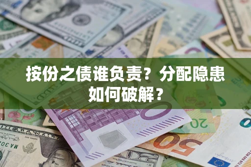 武汉按份之债谁负责？分配隐患如何破解？