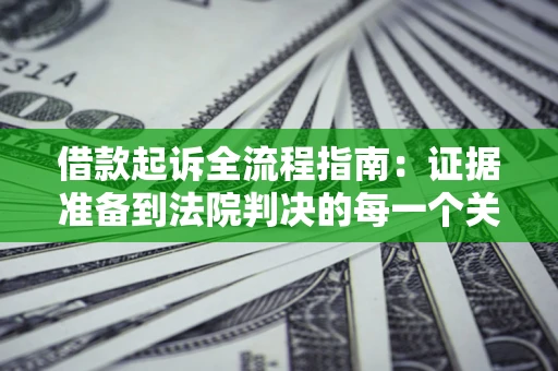武汉借款起诉全流程指南：证据准备到法院判决的每一个关键步骤