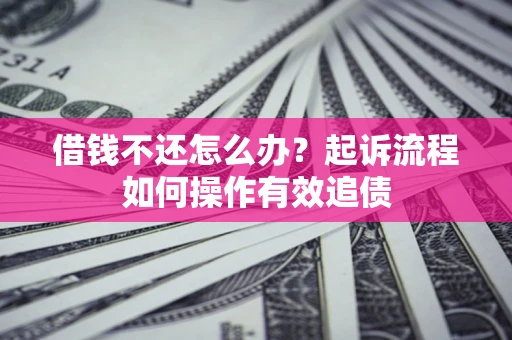 武汉借钱不还怎么办？起诉流程如何操作有效追债